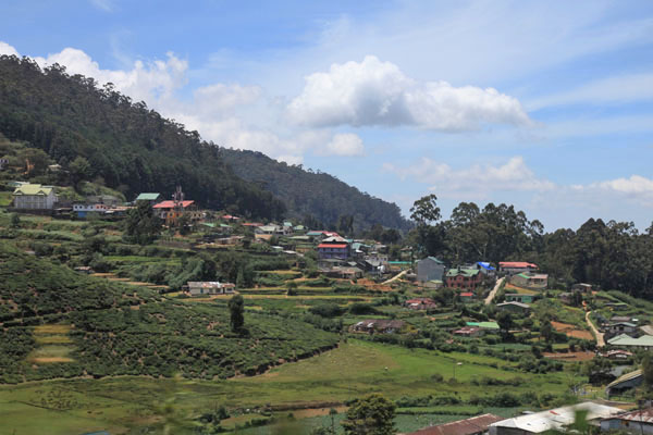 Nuwara Eliya